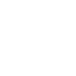 development